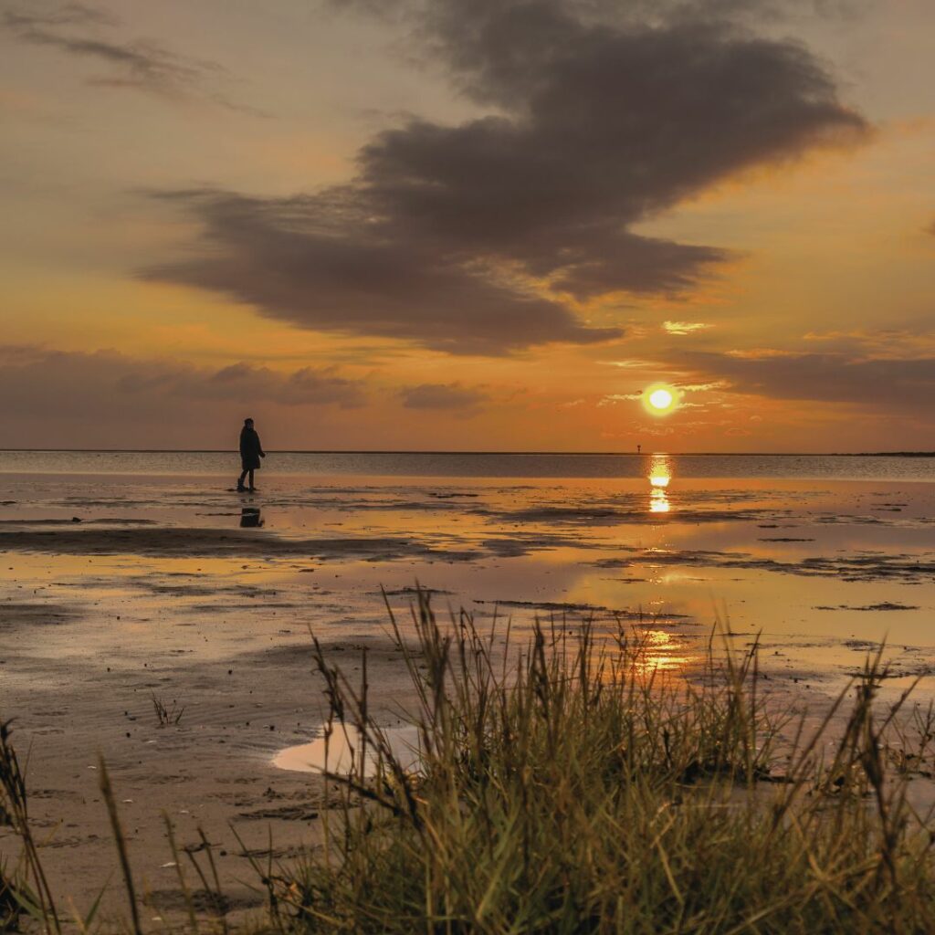 Das Bild zeigt einen Menschen, der alleine im Watt steht und die in die Ferne blickt. Die Sonne geht bald unter und der Himmel ist in warmen Farben eingefärbt. Im Vordergrund sieht man etwas Schilf, das sich im Wind bewegt,