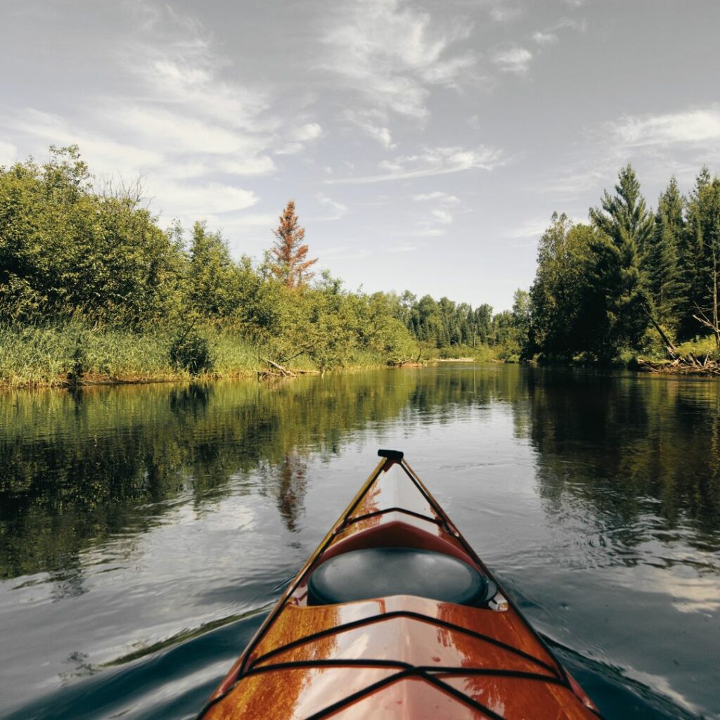 Blick von einem Kajak aus auf einen ruhigen Fluss, der von einem grünen Mischwald umgeben ist.