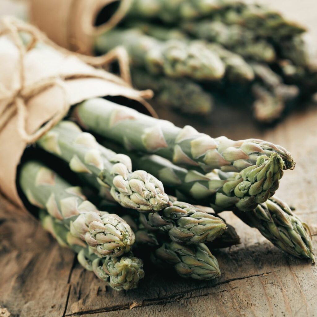 Frischer grüner Spragel.